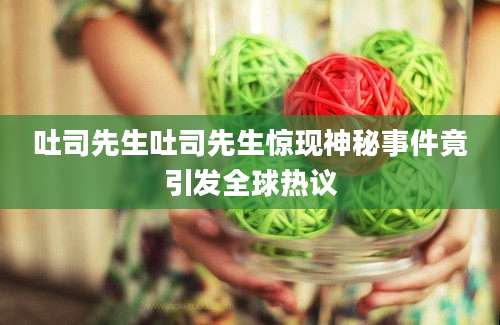 吐司先生吐司先生惊现神秘事件竟引发全球热议