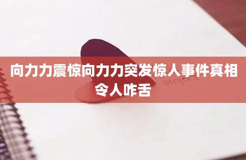 向力力震惊向力力突发惊人事件真相令人咋舌