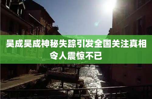 吴成吴成神秘失踪引发全国关注真相令人震惊不已