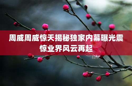 周威周威惊天揭秘独家内幕曝光震惊业界风云再起