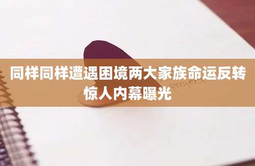 同样同样遭遇困境两大家族命运反转惊人内幕曝光