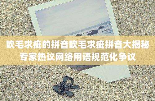 吹毛求疵的拼音吹毛求疵拼音大揭秘专家热议网络用语规范化争议