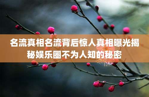名流真相名流背后惊人真相曝光揭秘娱乐圈不为人知的秘密