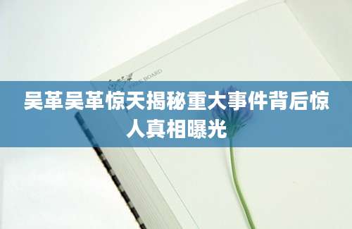 吴革吴革惊天揭秘重大事件背后惊人真相曝光