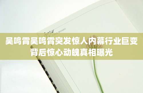 吴鸣霄吴鸣霄突发惊人内幕行业巨变背后惊心动魄真相曝光