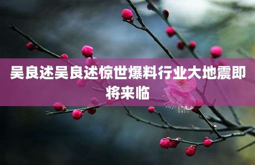 吴良述吴良述惊世爆料行业大地震即将来临