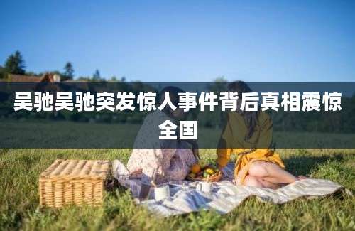 吴驰吴驰突发惊人事件背后真相震惊全国