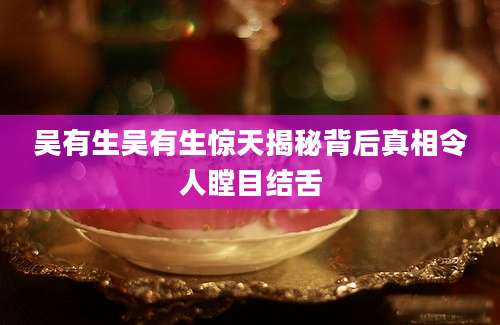 吴有生吴有生惊天揭秘背后真相令人瞠目结舌