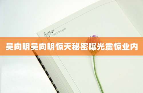 吴向明吴向明惊天秘密曝光震惊业内