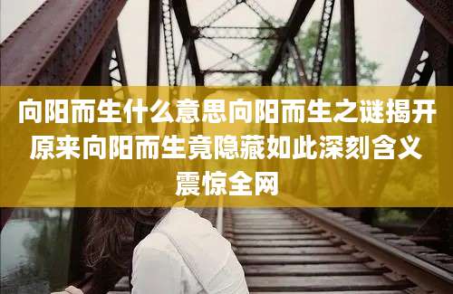 向阳而生什么意思向阳而生之谜揭开原来向阳而生竟隐藏如此深刻含义震惊全网