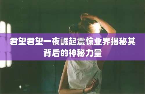 君望君望一夜崛起震惊业界揭秘其背后的神秘力量