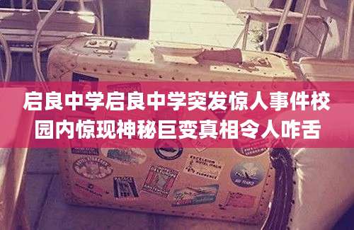启良中学启良中学突发惊人事件校园内惊现神秘巨变真相令人咋舌
