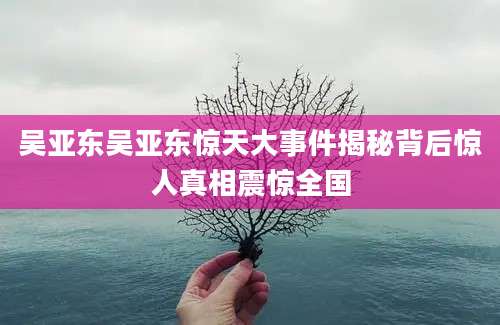 吴亚东吴亚东惊天大事件揭秘背后惊人真相震惊全国