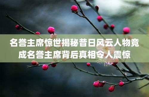 名誉主席惊世揭秘昔日风云人物竟成名誉主席背后真相令人震惊