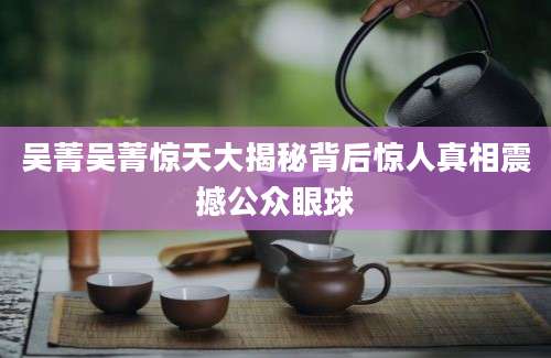 吴菁吴菁惊天大揭秘背后惊人真相震撼公众眼球
