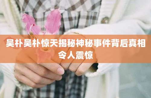 吴朴吴朴惊天揭秘神秘事件背后真相令人震惊
