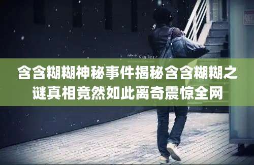 含含糊糊神秘事件揭秘含含糊糊之谜真相竟然如此离奇震惊全网