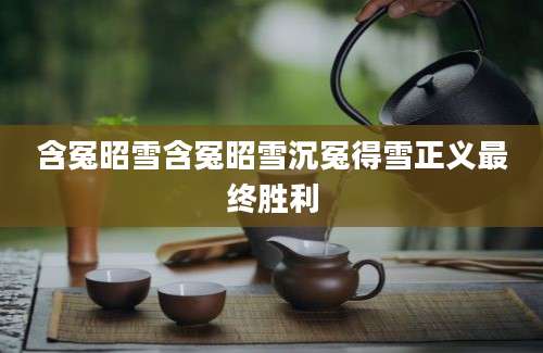 含冤昭雪含冤昭雪沉冤得雪正义最终胜利