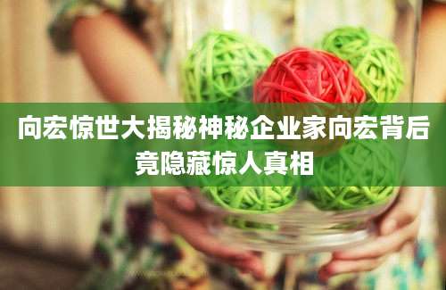 向宏惊世大揭秘神秘企业家向宏背后竟隐藏惊人真相