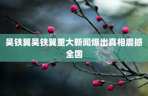 吴铁翼吴铁翼重大新闻爆出真相震撼全国