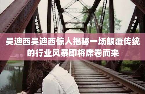 吴迪西吴迪西惊人揭秘一场颠覆传统的行业风暴即将席卷而来