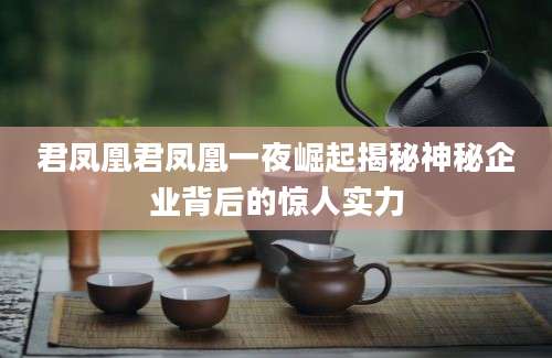 君凤凰君凤凰一夜崛起揭秘神秘企业背后的惊人实力