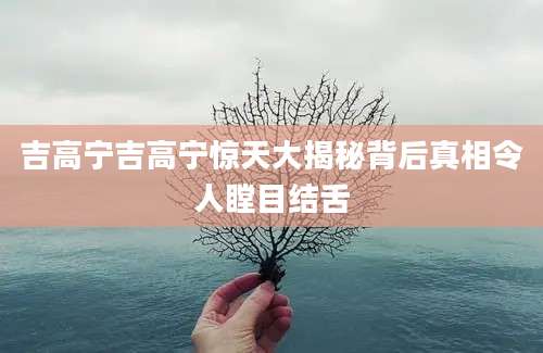 吉高宁吉高宁惊天大揭秘背后真相令人瞠目结舌