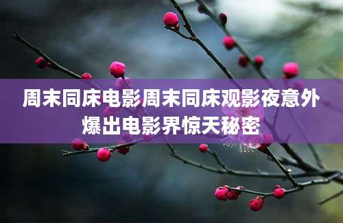 周末同床电影周末同床观影夜意外爆出电影界惊天秘密