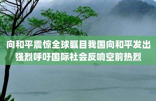 向和平震惊全球瞩目我国向和平发出强烈呼吁国际社会反响空前热烈