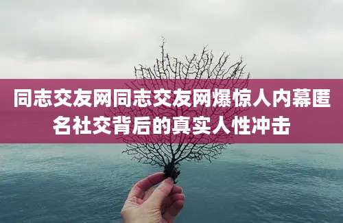 同志交友网同志交友网爆惊人内幕匿名社交背后的真实人性冲击