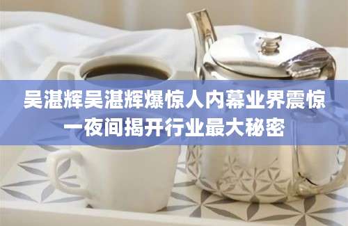 吴湛辉吴湛辉爆惊人内幕业界震惊一夜间揭开行业最大秘密