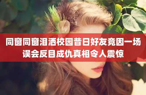 同窗同窗泪洒校园昔日好友竟因一场误会反目成仇真相令人震惊