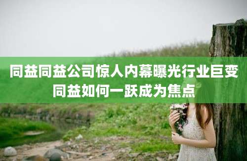 同益同益公司惊人内幕曝光行业巨变同益如何一跃成为焦点