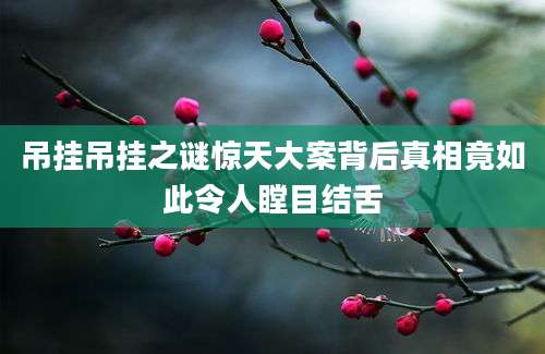 吊挂吊挂之谜惊天大案背后真相竟如此令人瞠目结舌