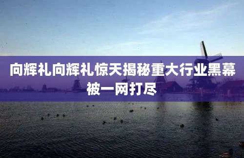 向辉礼向辉礼惊天揭秘重大行业黑幕被一网打尽
