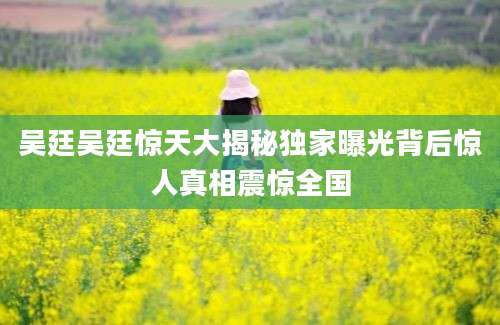 吴廷吴廷惊天大揭秘独家曝光背后惊人真相震惊全国