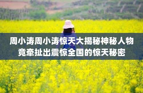 周小涛周小涛惊天大揭秘神秘人物竟牵扯出震惊全国的惊天秘密