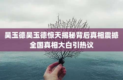 吴玉德吴玉德惊天揭秘背后真相震撼全国真相大白引热议