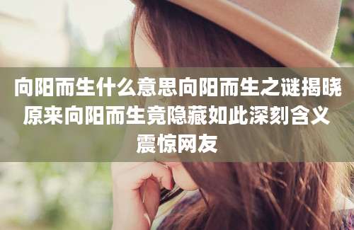 向阳而生什么意思向阳而生之谜揭晓原来向阳而生竟隐藏如此深刻含义震惊网友