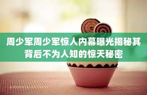 周少军周少军惊人内幕曝光揭秘其背后不为人知的惊天秘密