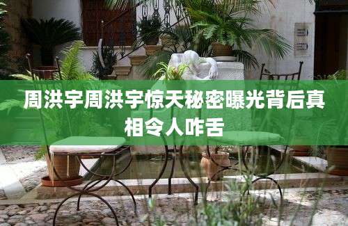 周洪宇周洪宇惊天秘密曝光背后真相令人咋舌