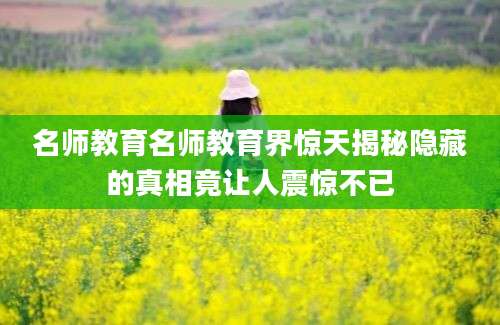 名师教育名师教育界惊天揭秘隐藏的真相竟让人震惊不已
