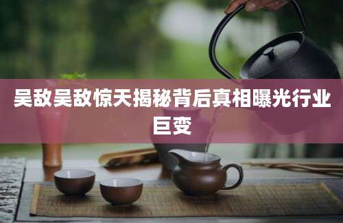 吴敌吴敌惊天揭秘背后真相曝光行业巨变