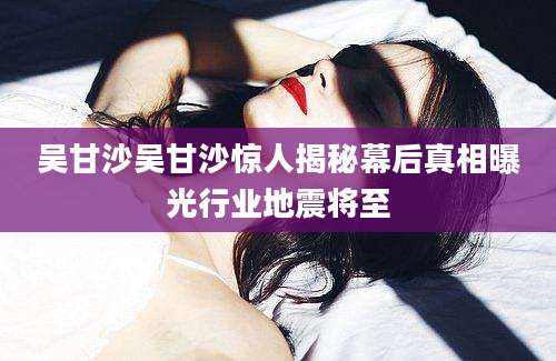 吴甘沙吴甘沙惊人揭秘幕后真相曝光行业地震将至