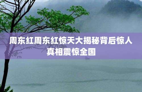 周东红周东红惊天大揭秘背后惊人真相震惊全国