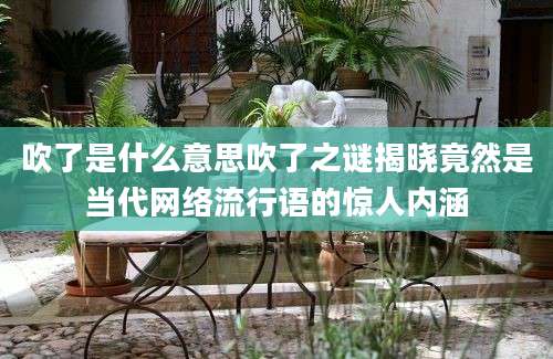吹了是什么意思吹了之谜揭晓竟然是当代网络流行语的惊人内涵