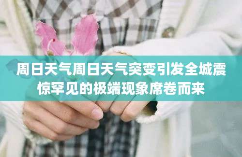 周日天气周日天气突变引发全城震惊罕见的极端现象席卷而来