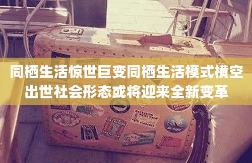 同栖生活惊世巨变同栖生活模式横空出世社会形态或将迎来全新变革