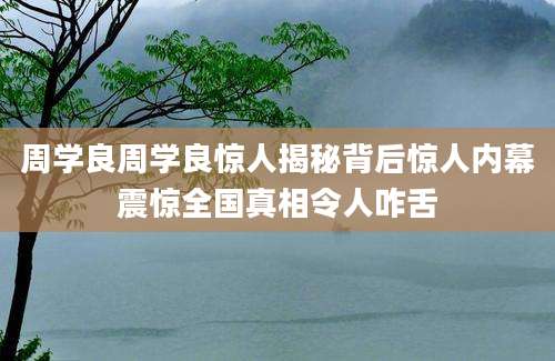 周学良周学良惊人揭秘背后惊人内幕震惊全国真相令人咋舌