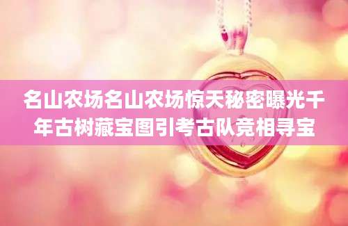 名山农场名山农场惊天秘密曝光千年古树藏宝图引考古队竞相寻宝